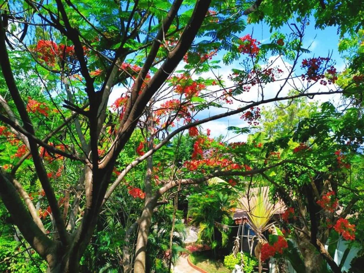 Denchai City Resort เด่นชัยซิตี้ รีสอร์ท Phrae Exterior foto